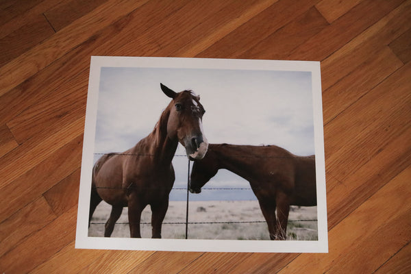 Marfa, Texas Horse Print